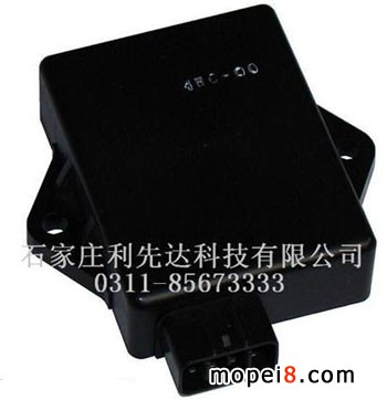 RĦ܇c R˹MAJESTY250 YP1