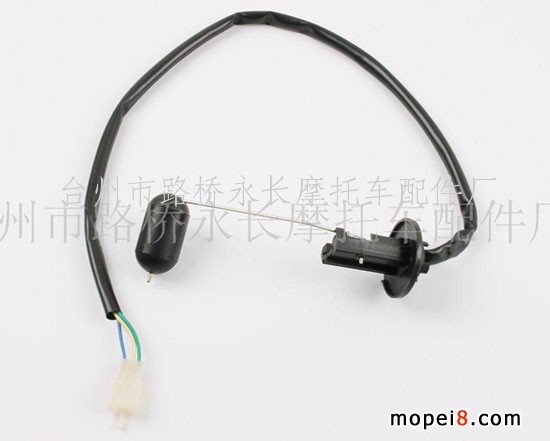 (yng)(yng)50Ħ܇ C(j)͂