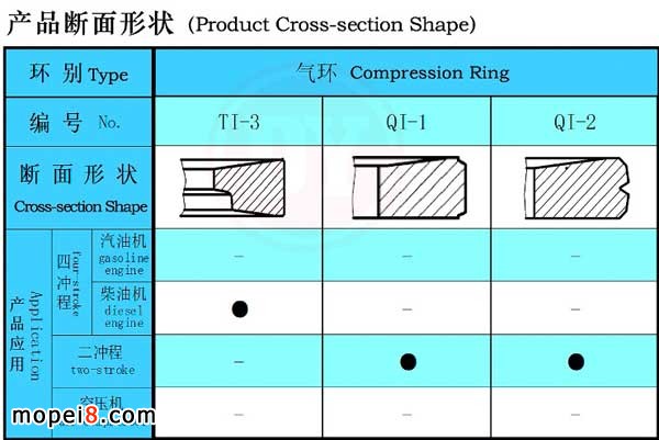 東亞活塞環(huán)產(chǎn)品截面圖
