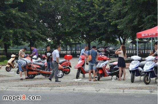 經(jīng)銷商對銀鋼獨特的電動車產(chǎn)生了濃厚的興趣