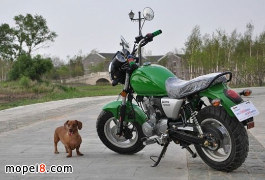 yMINIYG150-22Ħ܇TЈ(bo)