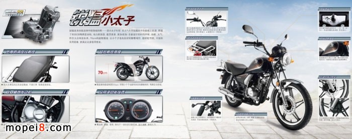 新大洲本田銳猛小太子SDH125-56