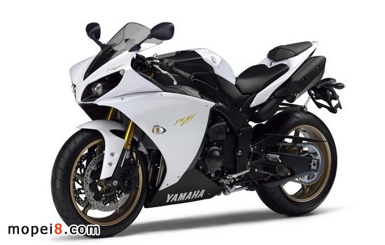 FND2013YZF-R1