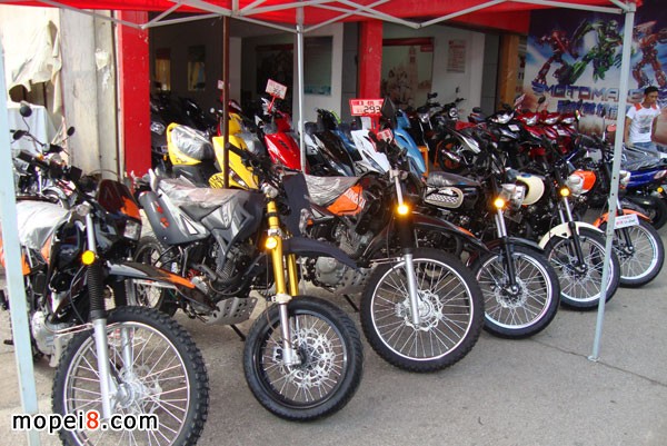 GɳЅ^ylĦ܇̵pTľĦ܇