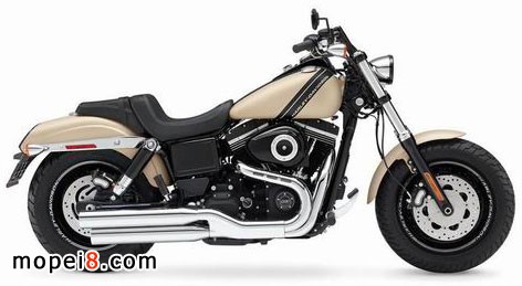 2014年款哈雷摩托車戴納“肥仔”