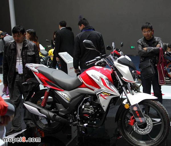 五羊-本田彪影150