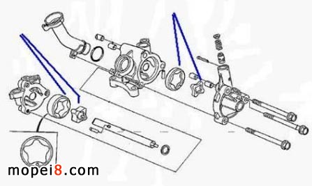 V4ϵĦ܇l(f)әCęCͱȫʹ˃ɽMD