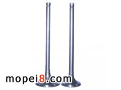 VºͨC(j)܇(yng)Ħ܇T